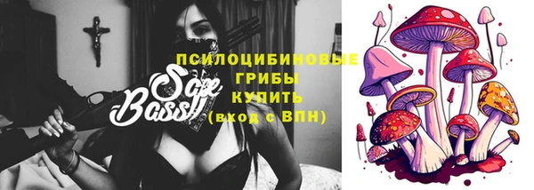 ПСИЛОЦИБИНОВЫЕ ГРИБЫ Бородино