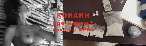 ПСИЛОЦИБИНОВЫЕ ГРИБЫ Бородино