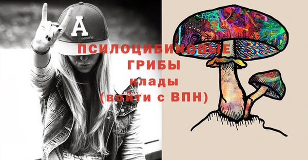ПСИЛОЦИБИНОВЫЕ ГРИБЫ Бородино