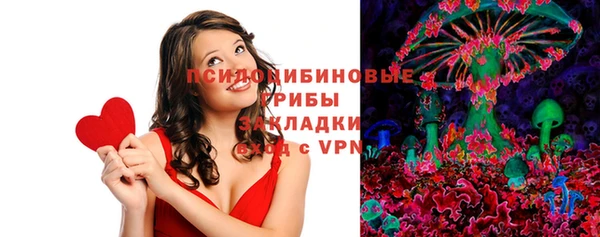 стаф Верхний Тагил